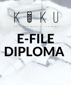 E-File Diploma