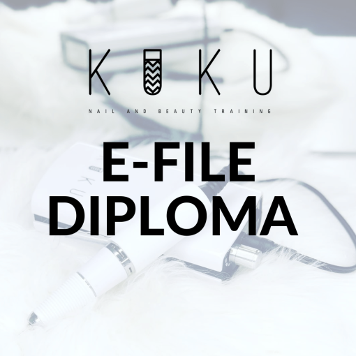 E-File Diploma